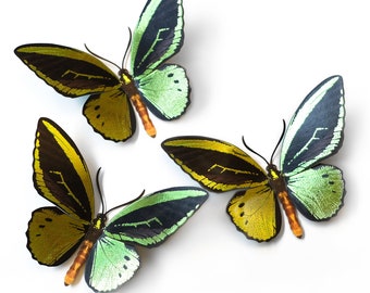 Realistic Foil Embellished Paper Butterfly, Double-sided, Cairns Birdwing Butterfly Paper-cut Craft Cutouts - "Flourish" - 3 Piece Set