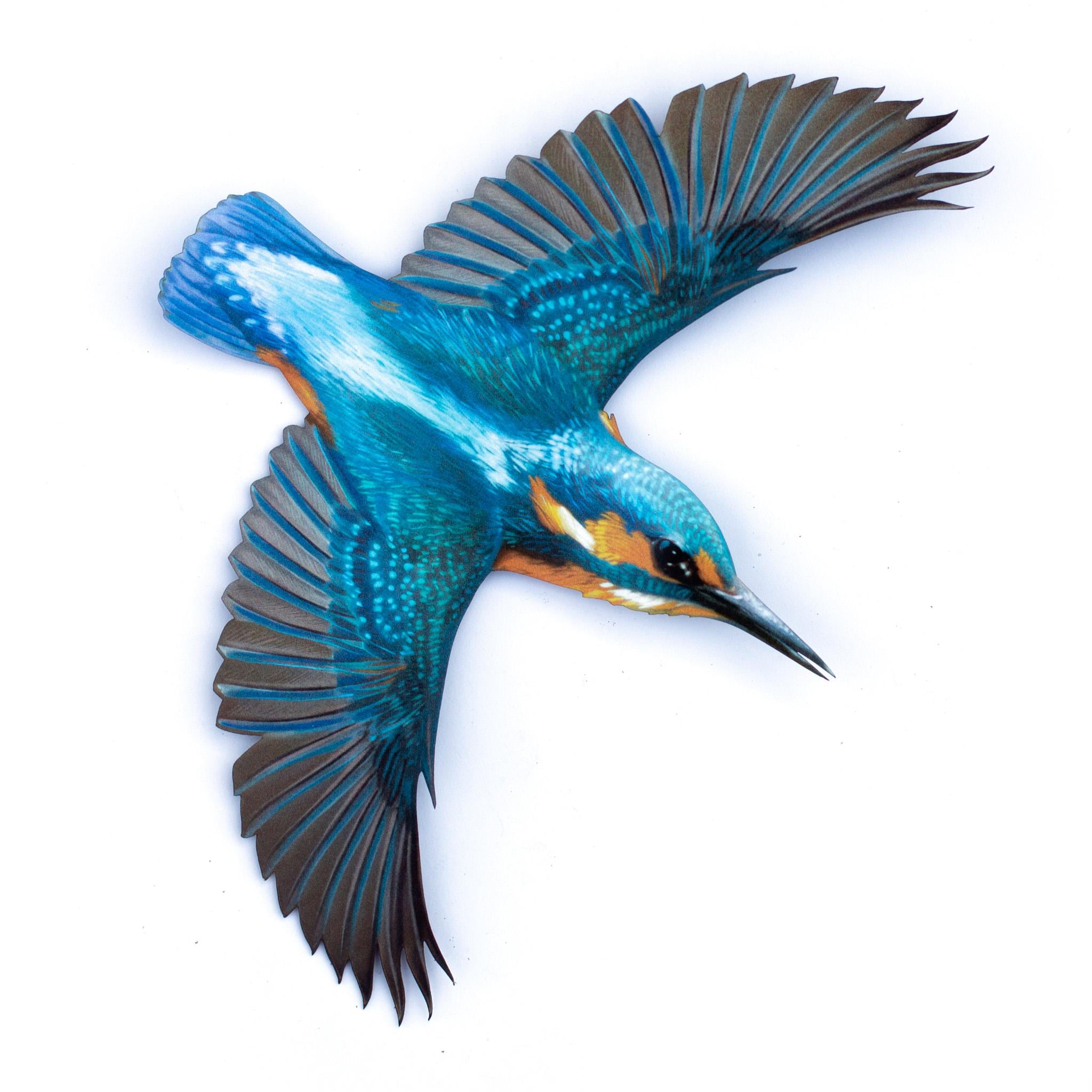 リアルな紙製カワセミ鳥、両面切り絵装飾、クラフト用品 - Etsy 日本