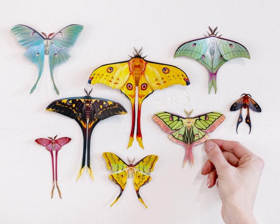 Colorful Realistic Paper Luna Moths, Double-sided, Faux Colorful Realistic Paper Luna Moths, Double-sided, Faux