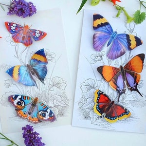Realistic Paper Butterfly, Double-sided, Butterfly Craft Cutouts ...