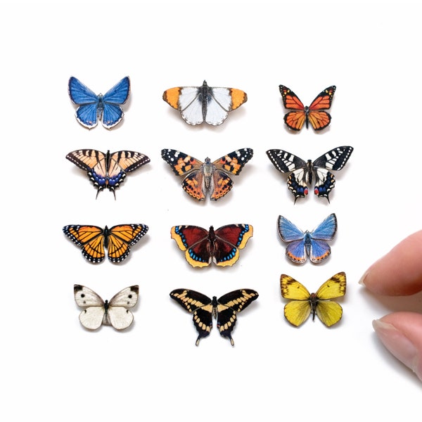 12x Realistic Micro Paper Butterflies, Double-Sided, Tiny Paper Cut Butterfly Craft Cutouts - "North American" Micro Butterfly Set