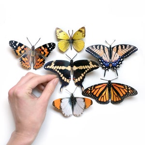 Borboleta de papel realista, dupla face, senhora pintada, borboleta rabo de andorinha falsa, recortes de artesanato em papel - conjunto de 6 peças "Meadow"