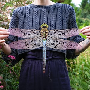 Realistic Giant Paper Dragonfly, Double-sided, Dragonfly Paper-cut Craft Cutouts - Dragonfly 16.5&quot;