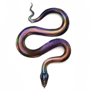 SALE - Realistic Foil Embellished Paper Snake, Double-sided, Holographic Rainbow Snake Paper-cut Craft Cutouts - "Prism" - 1 Piece Set