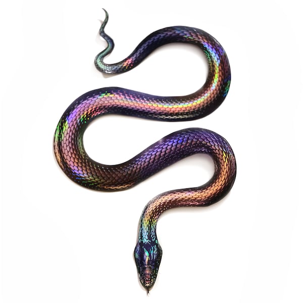 VENTA - Serpiente de papel adornada con lámina realista, Recortes artesanales cortados en papel de serpiente arcoíris holográfica de doble cara - "Prisma" - Juego de 1 pieza