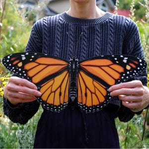 Giant Paper Monarch Butterfly, Double-Sided Lasercut Craft Supply - 17"