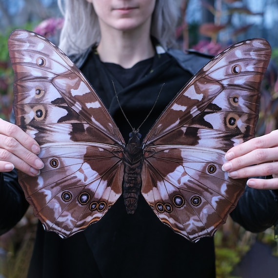 Giant Paper Cypris Morpho Butterfly, Double-sided Butterfly Cutout
