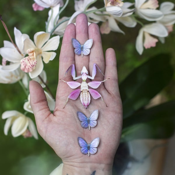 SALE -Orchid Mantis Realistic Paper Replica, Double-sided, Butterfly Paper-cut Craft Cutouts - "Orchid" Mantis - 4 Piece Set