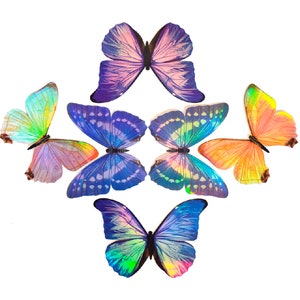 Holographic Morpho Butterfly Sticker Set Vinyl Decal 6 Pack