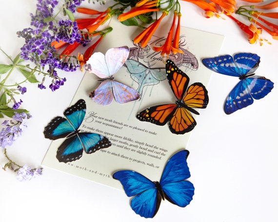 Realistic Paper Butterflies, Double-sided, Butterfly Craft Cutouts morphos  and Monarch Faux Butterfly 5 Piece Set 