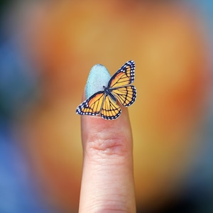 17x Realistic Micro Paper Monarch, Double-Sided, Tiny Paper Cut Butterfly Craft Cutouts Marmalade Micro Monarch Butterfly 17 Piece Set image 7