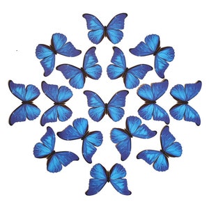 Large Blue Morpho Paper Butterflies, Realistic Double-sided Print, Butterfly Decorations, Paper-cut Craft Cutouts - 15 Piece Set