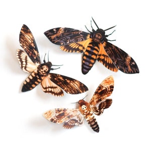 Spooky Deathshead Moths for Halloween, Realistic Double-sided, Butterfly Paper-cut Craft Cutouts Halloween 3 Piece Set image 3