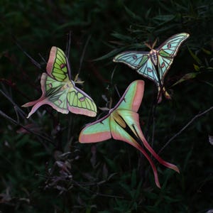 Polilla Lunar de papel realista, doble cara, mariposa falsa, recortes de papel - Set de 3 Polillas Lunar "Moonborn"