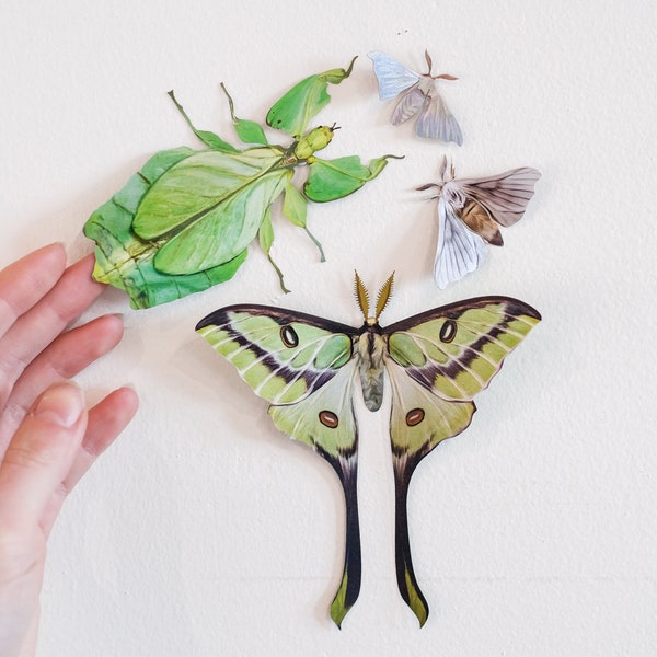 Green Butterflies and Leaf Insects with Silk Moths, Double-sided Print, 4 Piece Set