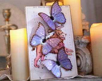 Realistic Paper Morpho Butterfly, Double-sided, Paper-cut Craft Cutouts - Celestial Beings Morpho Butterfly 3 Piece Set Foil Embellished