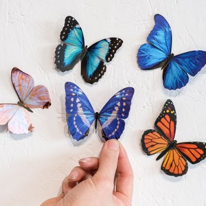 Realistic Paper Butterflies, Double-sided, Butterfly Craft Cutouts - "Morphos and Monarch" Faux Butterfly 5 Piece Set