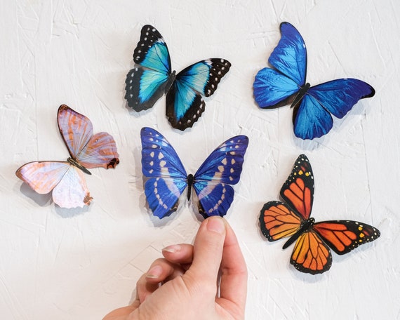 Realistic Paper Butterflies, Double-sided, Butterfly Craft Cutouts