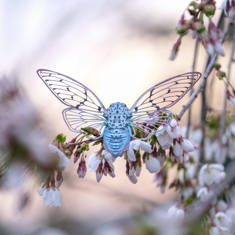 Realistic Paper Cicada, Double-sided, Butterfly Paper-cut Craft Cutouts, Faux Ghost Cicada 3 Piece Set image 1