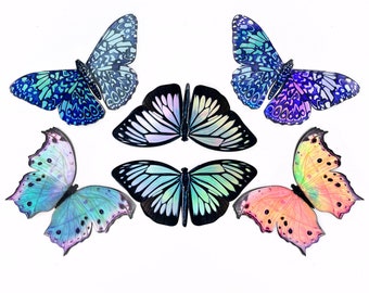 Holographic Wanderer Butterfly Sticker Set Vinyl Decal 6 Pack