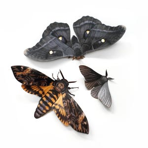 May include: Three decorative moth figurines in various sizes and colors. The largest moth is dark gray with white spots, the middle one is brown and orange with a skull-like pattern, and the smallest is gray.