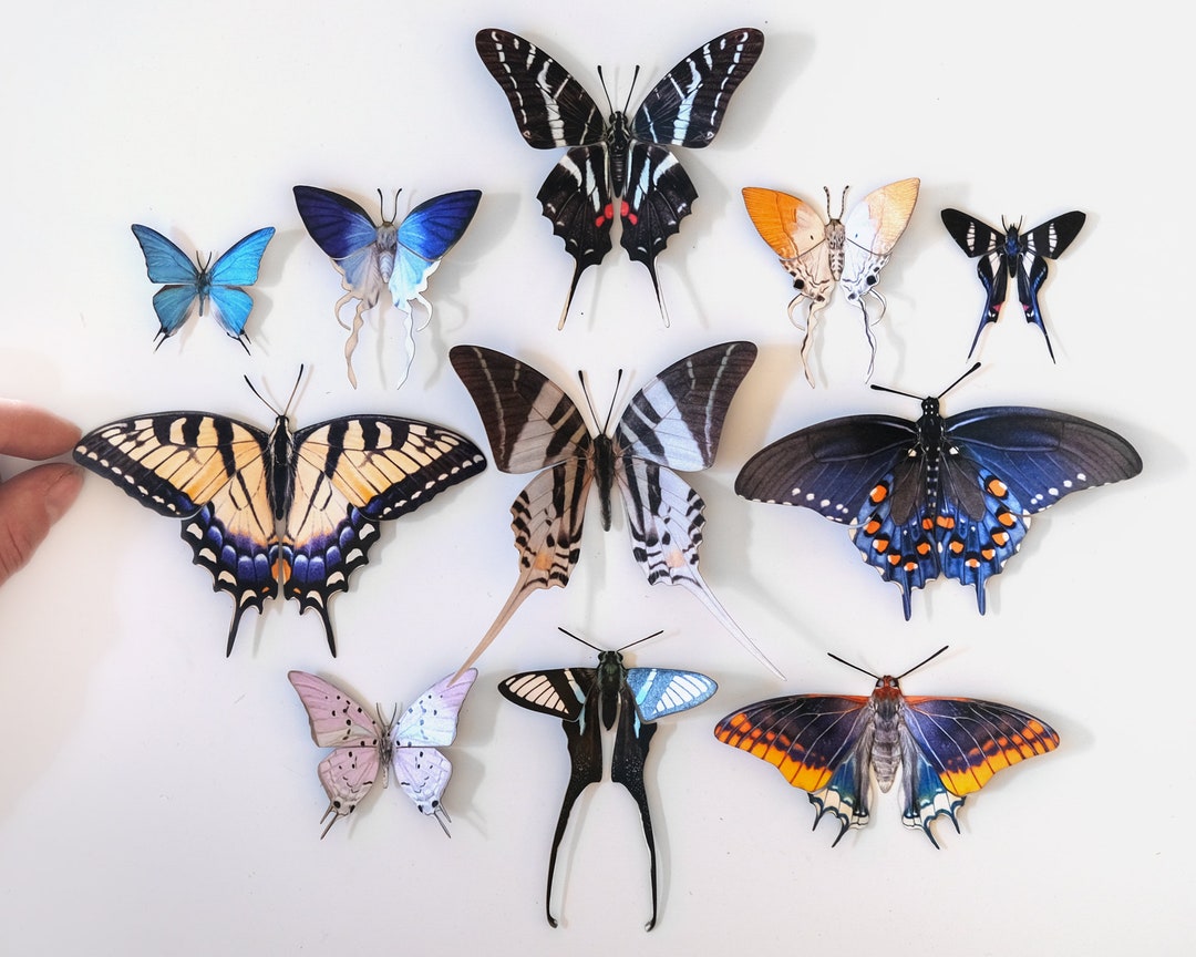 Paper Butterflies Crafts! - The Graphics Fairy