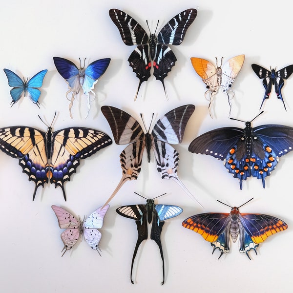 Realistic Paper Butterfly, Double-Sided, Faux Swallowtail Butterfly, Paper-cut Craft Cutouts - “Faeirie-Tails II” 11 Piece Set
