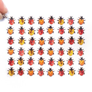 48 minuscole coccinelle di carta, minuscole farfalle ritagliate in carta - Set "Piccole coccinelle" di Teeny Tinies