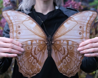 巨大なモルフォゴダルティ蝶、切り絵、両面装飾 - 15.6インチ - Etsy 日本