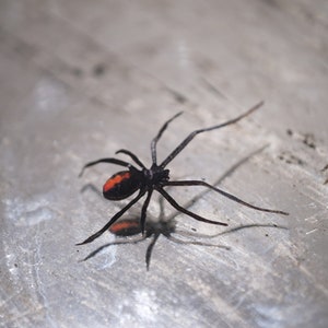 Aranhas viúvas negras de papel para o Halloween, recortes realistas de corte a laser de dupla face - conjunto de 9 peças de viúvas negras