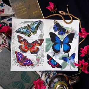 Realistic Paper Butterfly Double-Sided Laser Cut Craft Cutouts Jewels of the East 13 Piece Set image 3