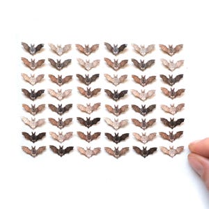 May include: A grid of small bat-shaped stickers in various shades of brown, gray, and black. The stickers are arranged in neat rows and columns against a white background. The bats have outstretched wings, and a hand is visible in the lower right corner.