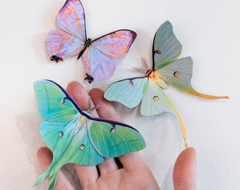 Realistic Paper Luna Moth, Double-sided, Faux Butterfly Papercut Craft Cutouts - &quot;Spring&quot; Luna Moths and Morpho Butterflies 3 Piece Set