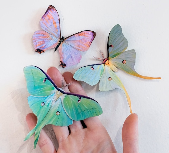 Ready to use cut outs Realistic Paper Butterflies 25 pieces