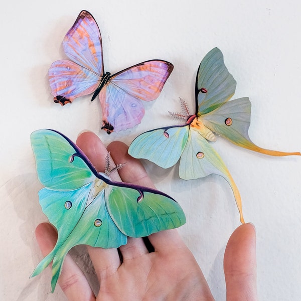 Realistic Paper Luna Moth, Double-sided, Faux Butterfly Papercut Craft Cutouts - "Spring" Luna Moths and Morpho Butterflies 3 Piece Set