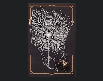 Paper Spider & Spiderweb for Halloween, Realistic Double-sided, Paper-cut Craft Cutouts - "Weaver" Wunderkammer - 2 Piece Set