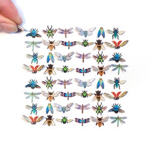 48x scarabei di carta, libellule, cicale, coccinelle e api di Teeny Tiny. Ritagli di carta minuscoli - Set Teeny Tinies 'Winged Wonders'