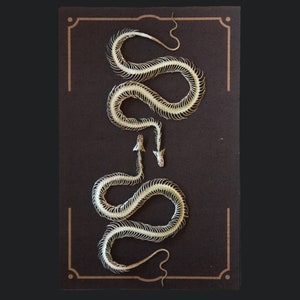 Esqueleto de serpiente de papel, impresión realista a doble cara, recortes de papel para manualidades: juego de 2 miniesqueletos de serpiente 'Ouroboros'