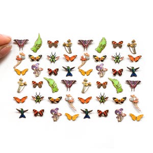 Könnte beinhalten: Eine Sammlung bunter Papierschnitte von Schmetterlingen, Kolibris, Käfern, Pilzen und Farnen. Die Ausschnitte sind in einem Rastermuster auf weißem Hintergrund angeordnet.