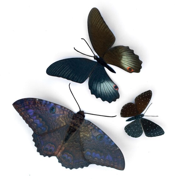 ハロウィンペーパーブラックウィッチモス、ダークで不気味な蝶、両面紙