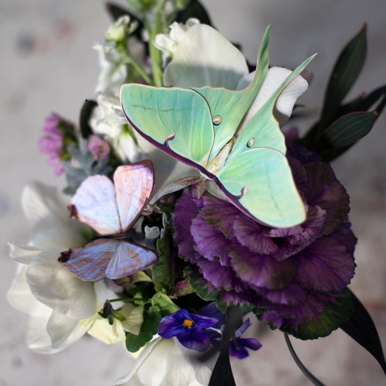Realistic Paper Luna Moth, Double-sided, Faux Butterfly Papercut Craft Cutouts Spring Luna Moths and Morpho Butterflies 3 Piece Set image 5
