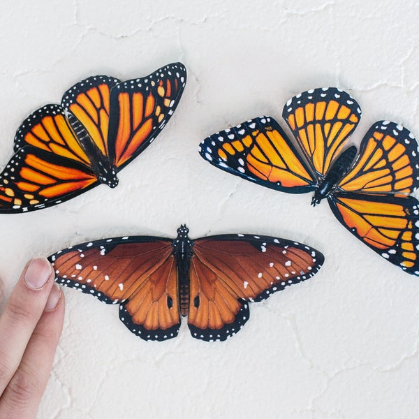 Realistic Paper Butterflies, Double-sided, Monarch Butterfly Paper-cut Craft Cutouts - 'Pollinator' Pastel Faux Butterfly 3 Piece Set