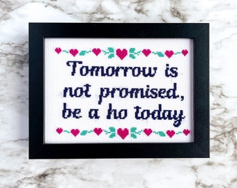 Cross Stitch Pattern .pdf Instant Download, Modern Sarcastic Wall Art, Easy Beginner Craft