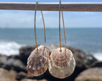 Keyhole Limpet Earrings