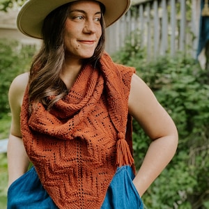 PDF Knitting Pattern Wildwood Shawl