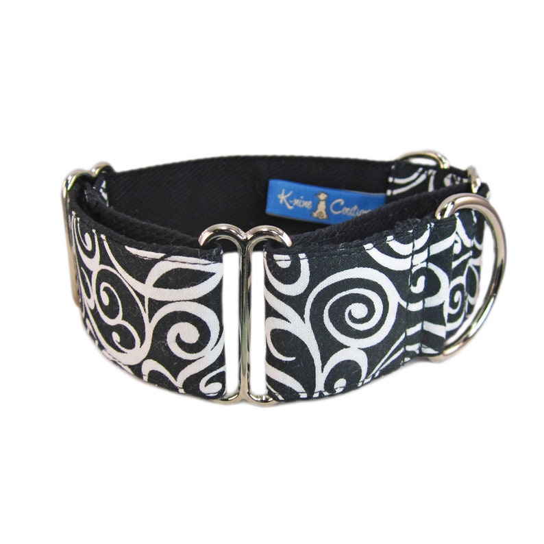 boy dog collars and leashes