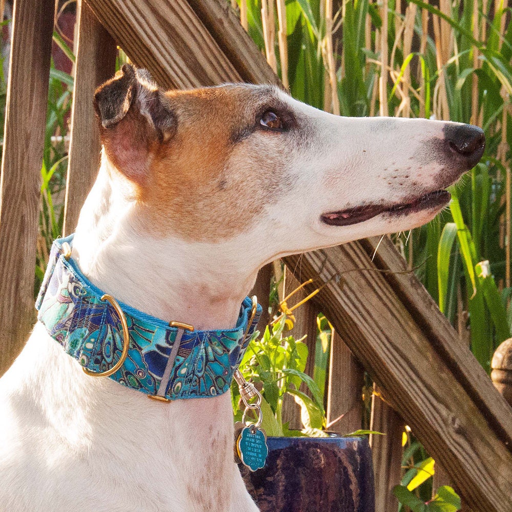Greyhound Martingale Collar and Leash Set. Fancy Dog Collar Etsy
