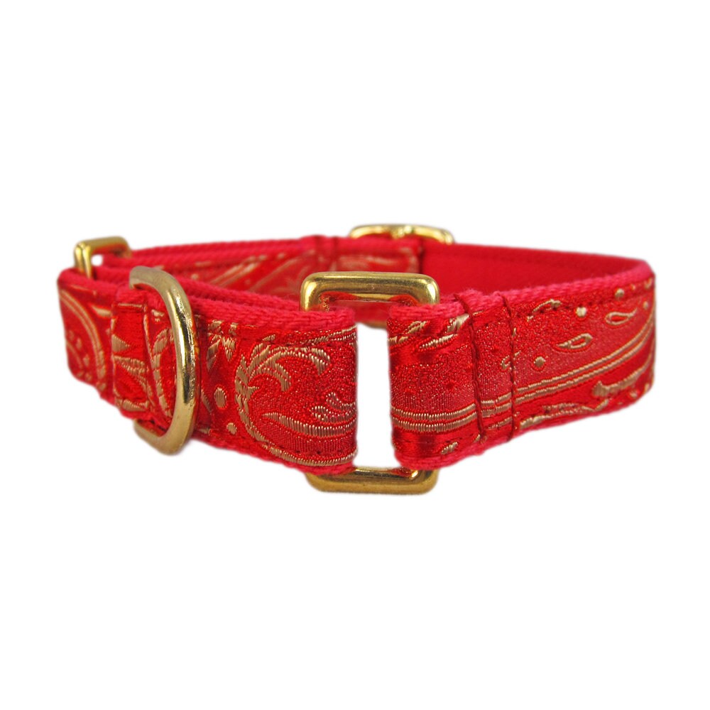 Fancy Dog Collar Martingale Dog Collar for Greyhounds Made Etsy