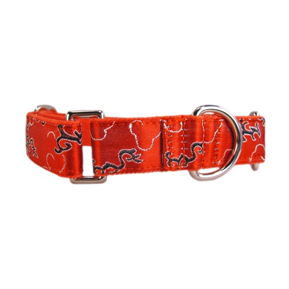 Orange Martingale Dog Collar in Small Dragon Silk. Custom Etsy