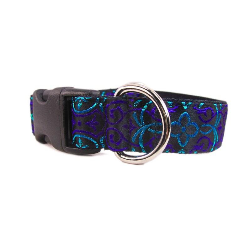 boy dog collars and leashes